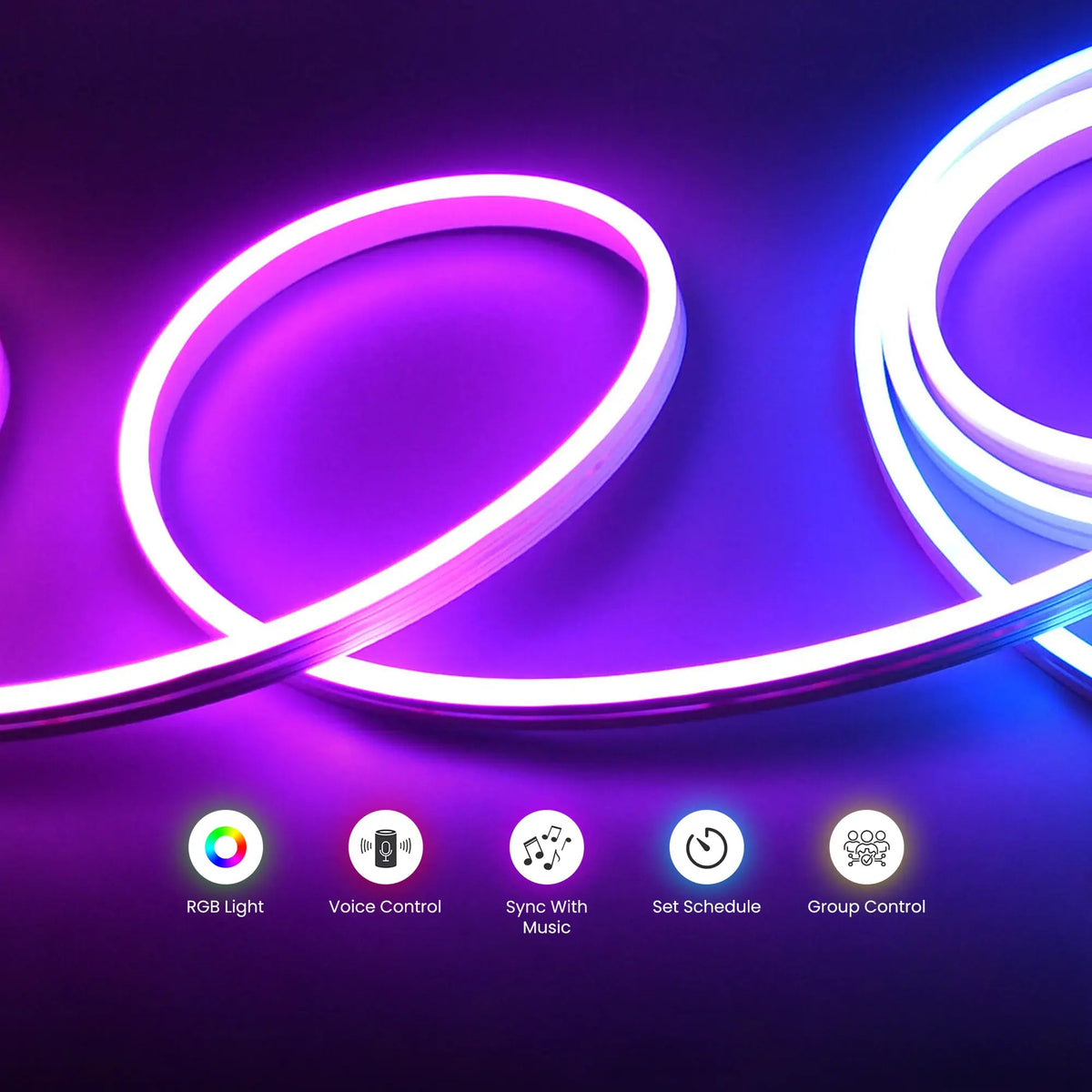 Neon Light (5M Wifi) 12V