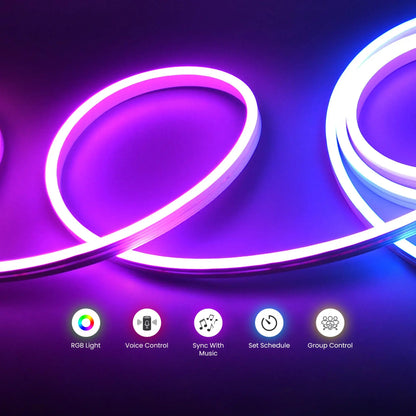 Neon Light (5M Wifi) 12V