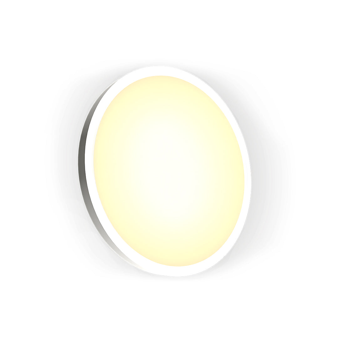 Ceiling Atmosphere Light 24w