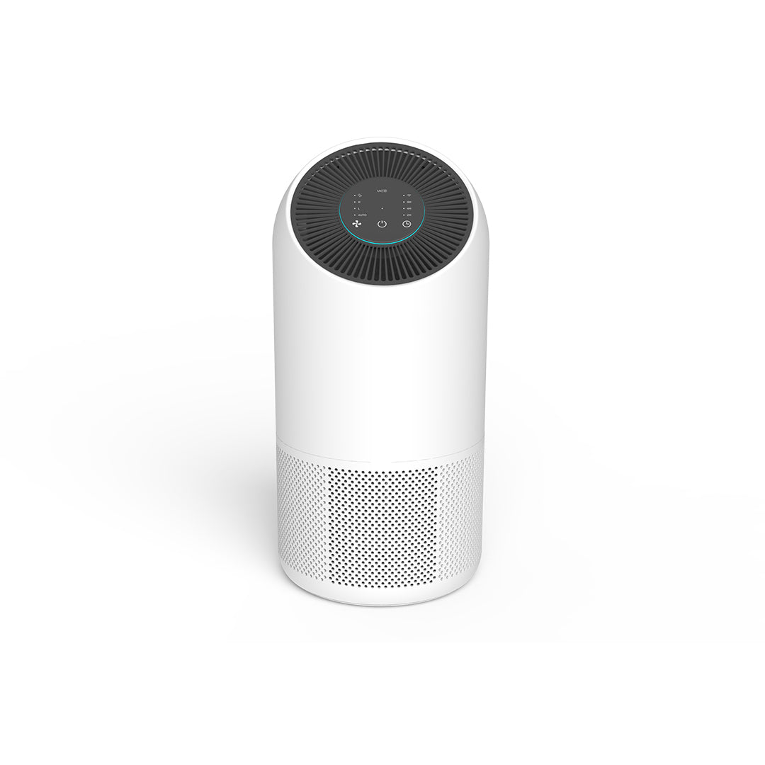Air Purifier X300