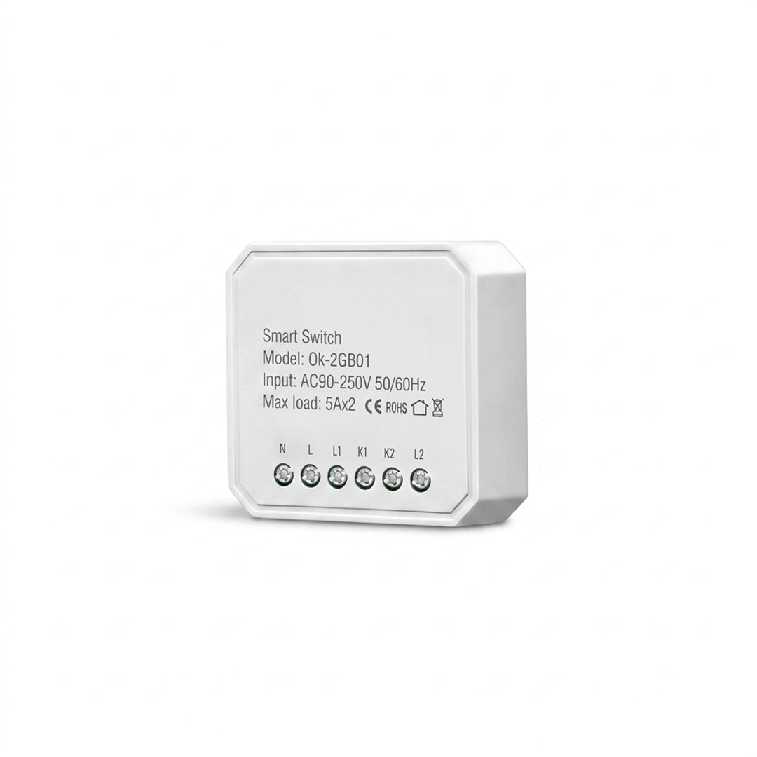 Smart In Wall Two Gang Switch